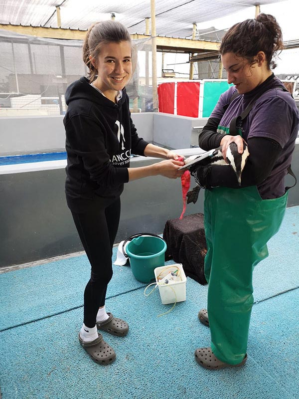 Our ski instructor LISA on the left - she is treating an african penguin